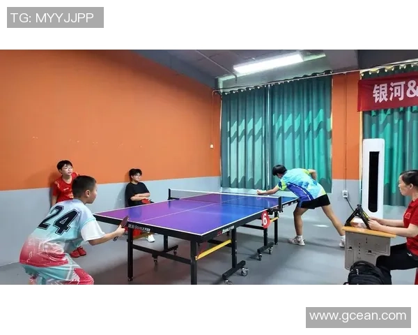 赛后分析:深圳乒乓球队与杭州乒乓球队灵活性对比及战术探讨
